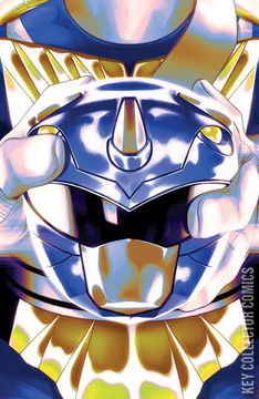 Variant Cover for Mighty Morphin Power Rangers / Teenage Mutant Ninja Turtles #4