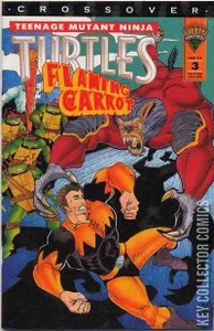 Teenage Mutant Ninja Turtles / Flaming Carrot #3