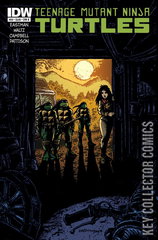 Variant Cover for Teenage Mutant Ninja Turtles #29