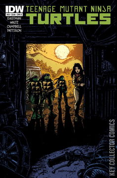 Variant Cover for Teenage Mutant Ninja Turtles #29