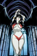 Variant Cover for Vampirella: Mindwarp #4