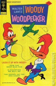 Woody Woodpecker #143