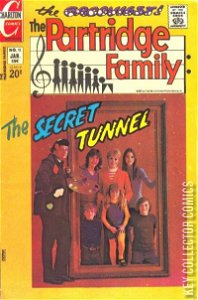 The Partridge Family #15