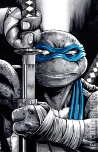 Teenage Mutant Ninja Turtles #132