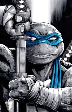 Variant Cover for Teenage Mutant Ninja Turtles #132