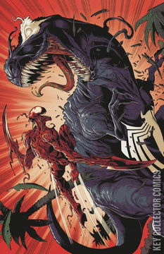Variant Cover for Venom #25