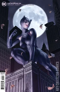 Variant Cover for Catwoman #24
