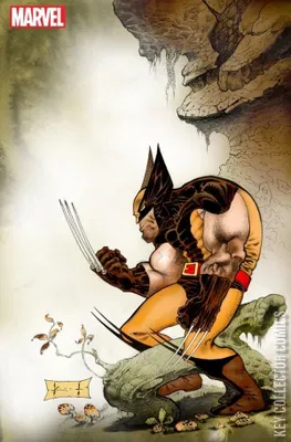 Wolverine: Exit Wounds