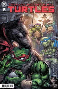Teenage Mutant Ninja Turtles #15