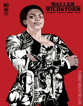 Variant Cover for Waller vs. WildStorm #1