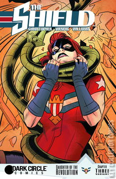 Variant Cover for The Shield #3