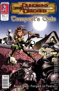 Dungeons & Dragons: Tempest's Gate #2