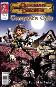 Dungeons & Dragons: Tempest's Gate #2