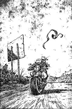 Variant Cover for Teenage Mutant Ninja Turtles #144