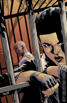 Variant Cover for What's The Furthest Place From Here #13