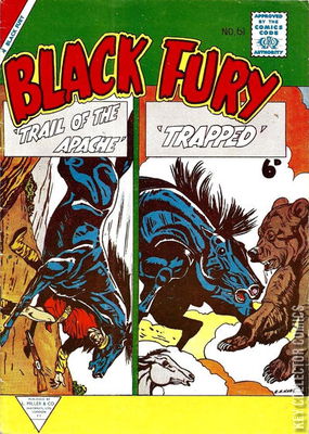 Black Fury