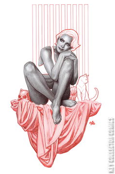 Variant Cover for Catwoman #79