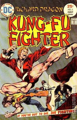 Richard Dragon's Kung-Fu Fighter