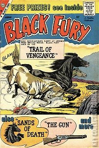 Black Fury #22
