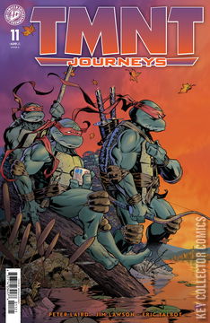Variant Cover for Teenage Mutant Ninja Turtles: Journeys #11