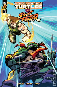 Variant Cover for Teenage Mutant Ninja Turtles vs. Street Fighter #3
