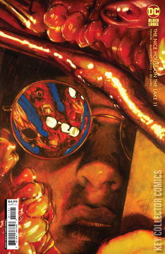 Variant Cover for Nice House on the Lake, The #11