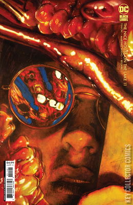 Nice House on the Lake, The