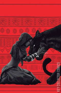 Variant Cover for Sacred Six #11