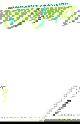 Teenage Mutant Ninja Turtles: Casey Jones