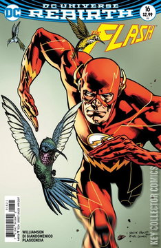 Variant Cover for Flash #16