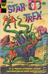 Variant Cover for Star Trek #29