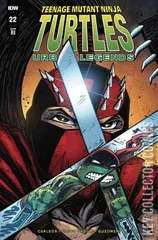 Variant Cover for Teenage Mutant Ninja Turtles: Urban Legends #22