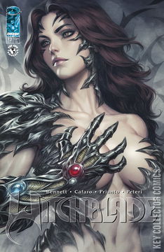 Variant Cover for Witchblade #12