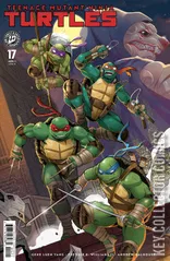 Cover for Teenage Mutant Ninja Turtles #17