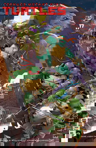 Teenage Mutant Ninja Turtles #17