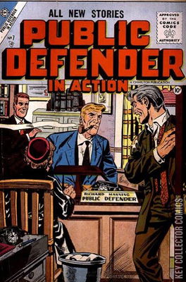 Public Defender in Action