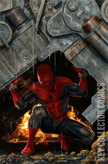 Variant Cover for Amazing Spider-Man #14