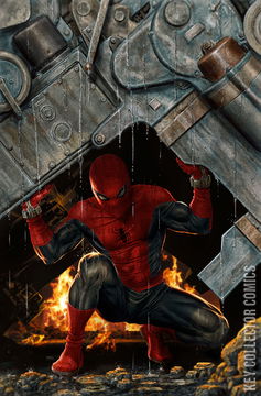 Variant Cover for Amazing Spider-Man #14