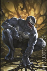 Variant Cover for Venom #1