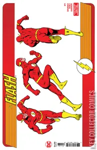Flash #11