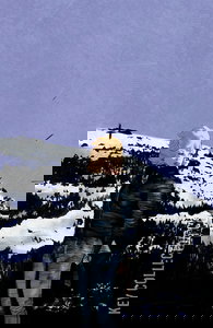 Something Is Killing the Children #49