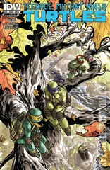 Cover for Teenage Mutant Ninja Turtles #29