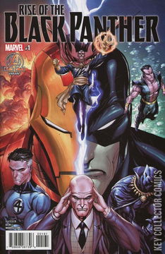 Variant Cover for Rise of the Black Panther #1