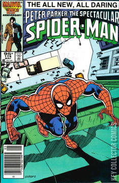 Variant Cover for Peter Parker: The Spectacular Spider-Man #114
