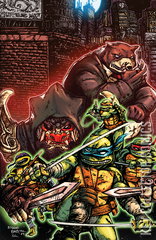 Variant Cover for Teenage Mutant Ninja Turtles #14