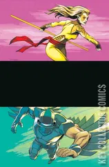 Variant Cover for Thundercats x Silverhawks #2