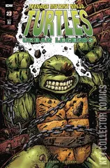 Variant Cover for Teenage Mutant Ninja Turtles: Urban Legends #23