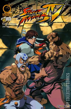 Variant Cover for Street Fighter IV #2