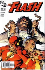 Cover for Flash #229