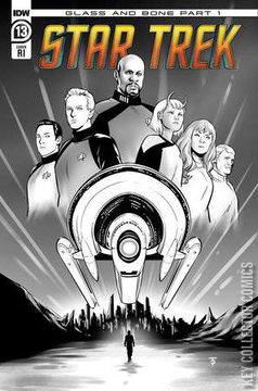 Variant Cover for Star Trek #13